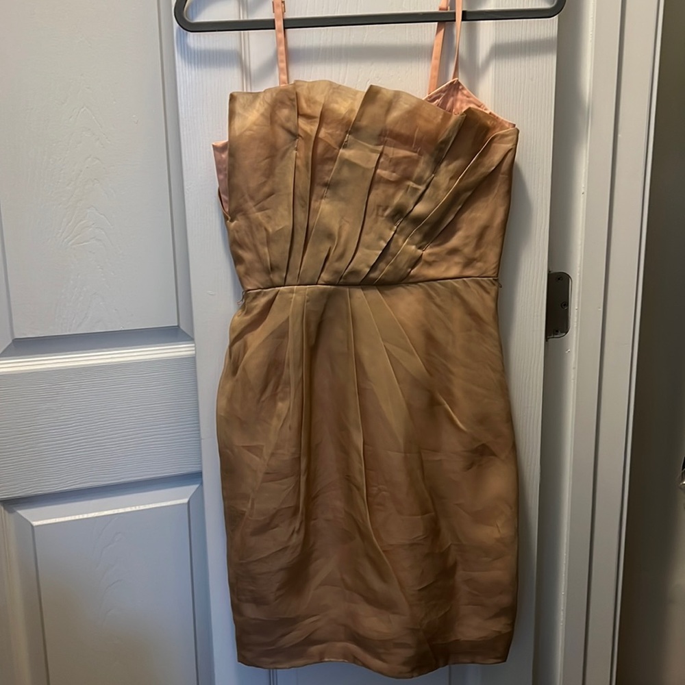 Blush Viva Iridescent Silk Organza Slip Dress Gem